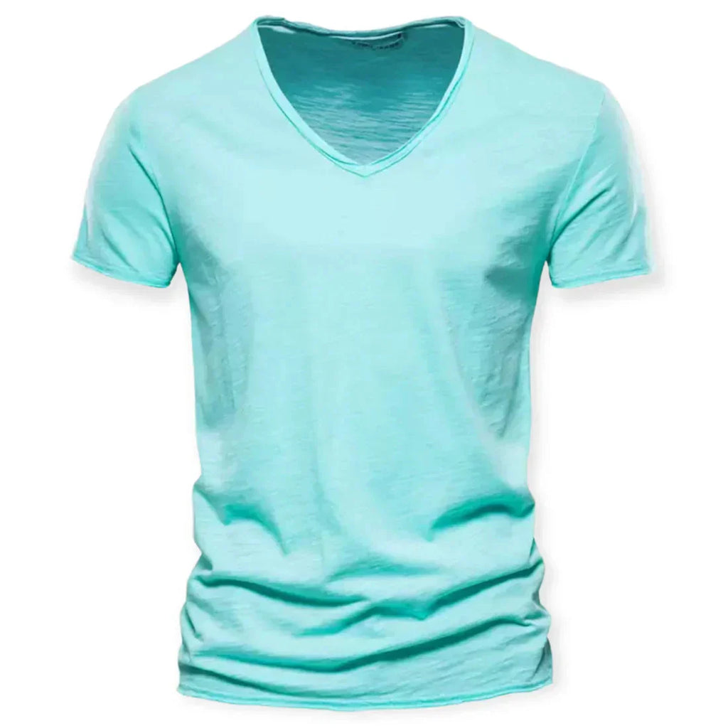 Noah T-shirt męski z dekoltem V